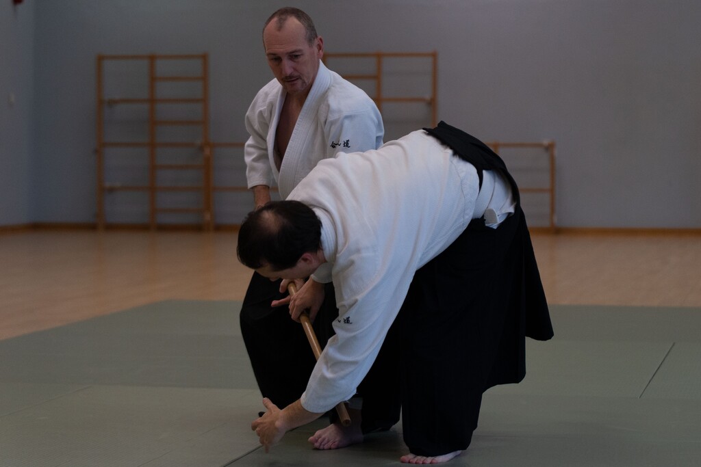 2022-11_Aikido_4754 (3).1024x768