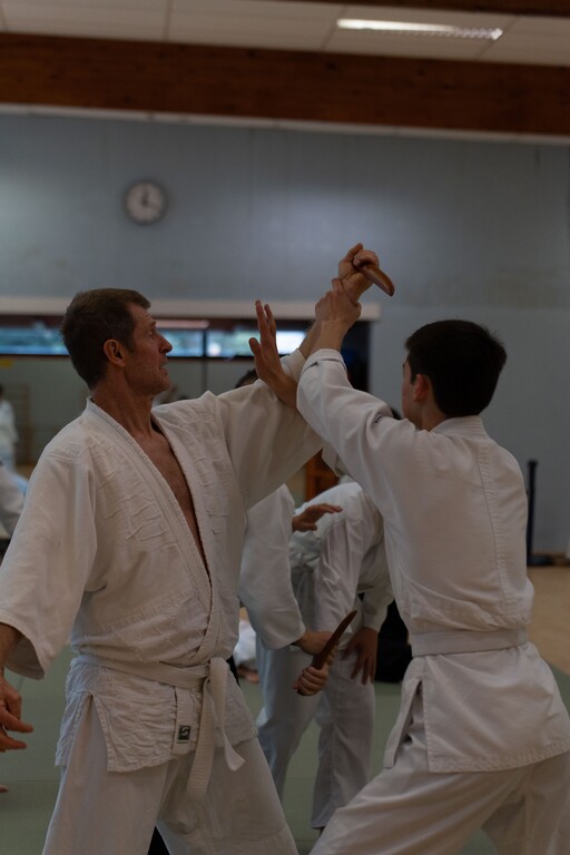 2022-11_Aikido_4997 (2).1024x768