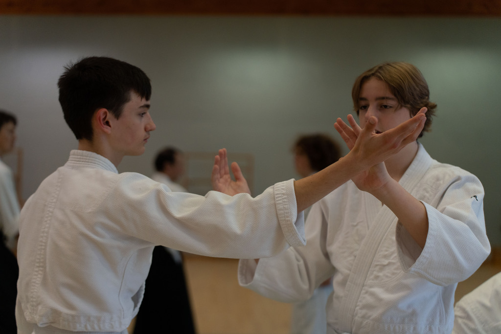car_05_2022-11_Aikido_4713.1024x768