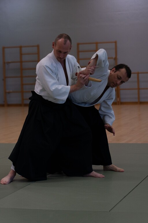 home_page_2022-11_Aikido_5020.1024x768